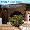 LET’S RESIN 4Pcs Resin Coaster Molds, Druzy Geode Agate Silicone Coaster Molds for Epoxy Resin, 5Inches Large Mould for DIY Art Craft Cup Mats, Durable and Flexible Moulds(4 cavity)