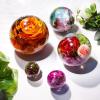 LET’S Resin Crystal Ball Resin Molds, Crystal Orb Decorative Statue Silicone Molds with Mushroom Stand and Bird Figurine,3D Sphere Epoxy Resin Molds for DIY Tabletop Decor, Housewarming Gifts(Sphere Molds)