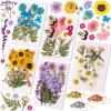 LET’S RESIN Realistic Paper Butterfly Moth,46 Pcs Double-Sided Faux Butterfly,Epoxy Resin Supplies,Vintage Floral Decoration,Resin Accessories for Art,Crafts,Molds(Dried Flowers for Resin)